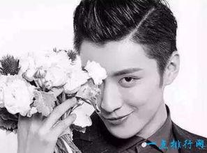 中国娱乐男明星排行榜,流量担当与实力派争霸