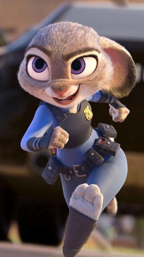 兔朱迪照片,捕捉萌态瞬间，展现兔界明星风采